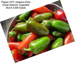 Pepper HOT Jalapeno Early Great Heirloom Vegetable BULK 4,000 Seeds