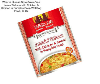 Weruva Human Style Grain-Free Jamin\' Salmon with Chicken & Salmon in Pumpkin Soup Wet Dog Food, 14 Oz