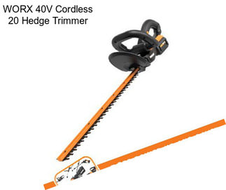 WORX 40V Cordless 20\