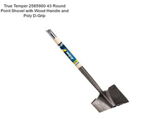 True Temper 2585900 43\