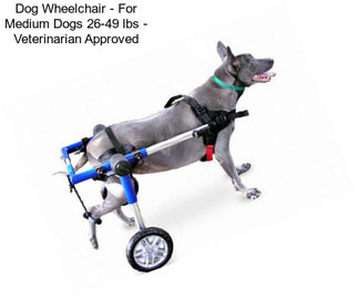 Dog Wheelchair - For Medium Dogs 26-49 lbs - Veterinarian Approved