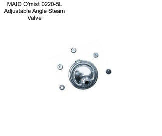 MAID O\'mist 0220-5L Adjustable Angle Steam Valve