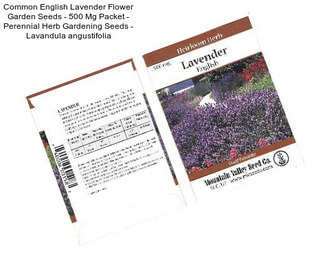 Common English Lavender Flower Garden Seeds - 500 Mg Packet - Perennial Herb Gardening Seeds - Lavandula angustifolia