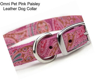 Omni Pet Pink Paisley Leather Dog Collar