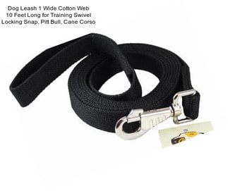 Dog Leash 1\