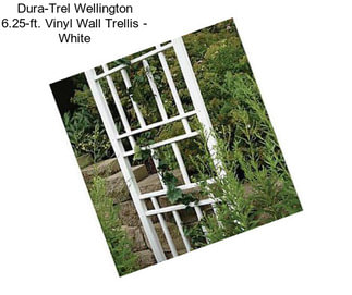 Dura-Trel Wellington 6.25-ft. Vinyl Wall Trellis - White