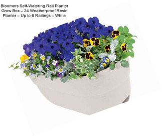 Bloomers Self-Watering Rail Planter Grow Box – 24\