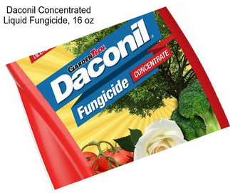 Daconil Concentrated Liquid Fungicide, 16 oz