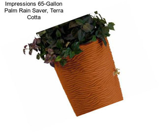 Impressions 65-Gallon Palm Rain Saver, Terra Cotta