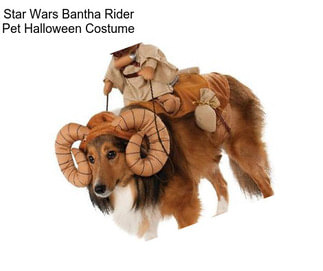 Star Wars Bantha Rider Pet Halloween Costume