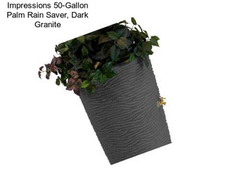 Impressions 50-Gallon Palm Rain Saver, Dark Granite