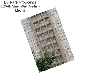 Dura-Trel Providence 6.25-ft. Vinyl Wall Trellis - Mocha