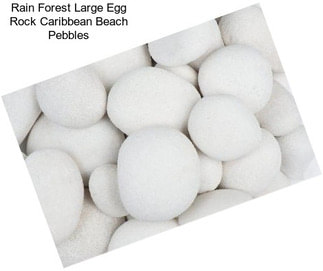 Rain Forest Large Egg Rock Caribbean Beach Pebbles