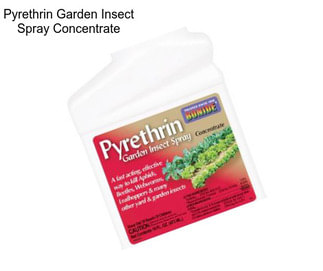 Pyrethrin Garden Insect Spray Concentrate