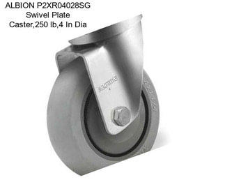 ALBION P2XR04028SG Swivel Plate Caster,250 lb,4 In Dia