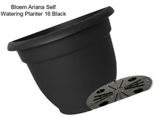 Bloem Ariana Self Watering Planter 16\