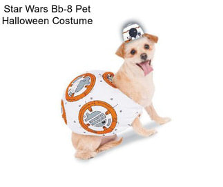 Star Wars Bb-8 Pet Halloween Costume