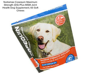 Nutramax Cosequin Maximum Strength (DS) Plus MSM Joint Health Dog Supplement, 60 Soft Chews