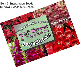 Bulk 3 Snapdragon Seeds Survival Seeds 600 Seeds