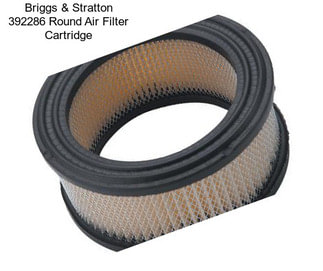 Briggs & Stratton 392286 Round Air Filter Cartridge