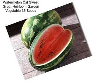 Watermelon Cal Sweet Great Heirloom Garden Vegetable 35 Seeds