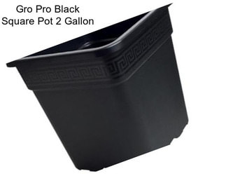 Gro Pro Black Square Pot 2 Gallon