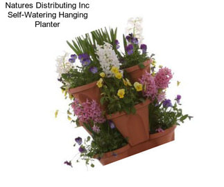 Natures Distributing Inc Self-Watering Hanging Planter