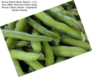 Roma II Bush Bean Seeds - 1 Lb - Non-GMO, Heirloom Green Snap Roma 2 Bean Seeds - Vegetable Garden Seeds