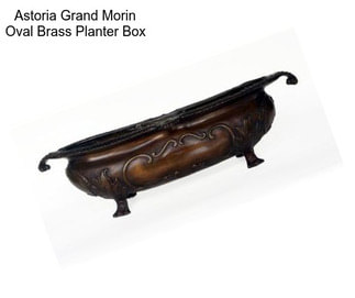 Astoria Grand Morin Oval Brass Planter Box