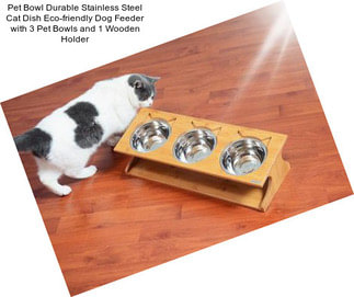 Pet Bowl Durable Stainless Steel Cat Dish Eco-friendly Dog Feeder with 3 Pet Bowls and 1 Wooden Holder