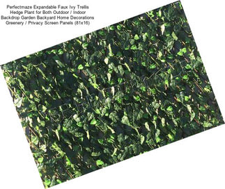 Perfectmaze Expandable Faux Ivy Trellis Hedge Plant for Both Outdoor / Indoor Backdrop Garden Backyard Home Decorations Greenery / Privacy Screen Panels (81\