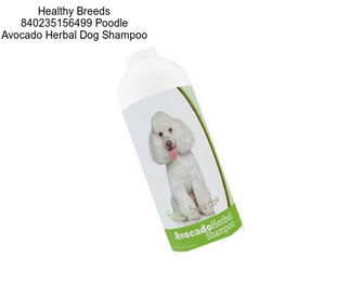 Healthy Breeds 840235156499 Poodle Avocado Herbal Dog Shampoo