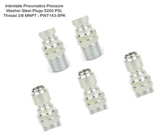 Interstate Pneumatics Pressure Washer Steel Plugs 5200 PSI, Thread 3/8\