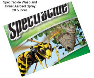 Spectracide Wasp and Hornet Aerosol Spray, 20 ounces