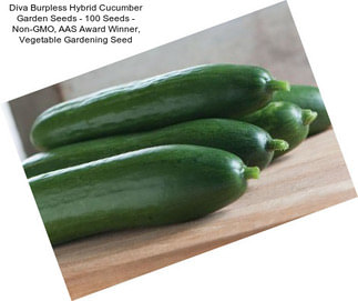 Diva Burpless Hybrid Cucumber Garden Seeds - 100 Seeds - Non-GMO, AAS Award Winner, Vegetable Gardening Seed