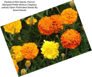 Packet of 500 Seeds, French Marigold Petite Mixture (Tagetes patula) Open Pollinated Seeds By Seed Needs