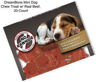 DreamBone Mini Dog Chew Treat w/ Real Beef, 20-Count