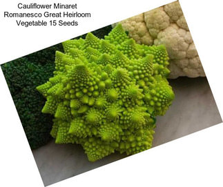 Cauliflower Minaret Romanesco Great Heirloom Vegetable 15 Seeds