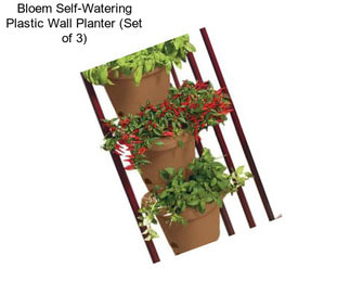 Bloem Self-Watering Plastic Wall Planter (Set of 3)