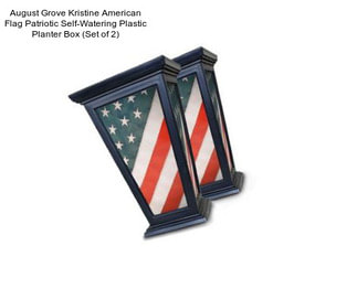 August Grove Kristine American Flag Patriotic Self-Watering Plastic Planter Box (Set of 2)