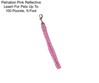 Petnation Pink Reflective Leash For Pets Up To 100 Pounds, 5-Foot