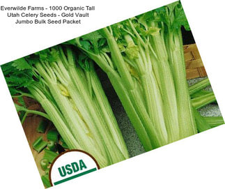 Everwilde Farms - 1000 Organic Tall Utah Celery Seeds - Gold Vault Jumbo Bulk Seed Packet