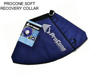 PROCONE SOFT RECOVERY COLLAR