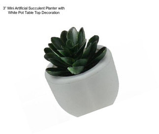 3” Mini Artificial Succulent Planter with White Pot Table Top Decoration