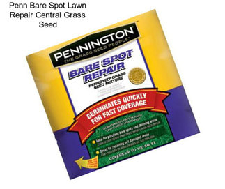 Penn Bare Spot Lawn Repair Central Grass Seed