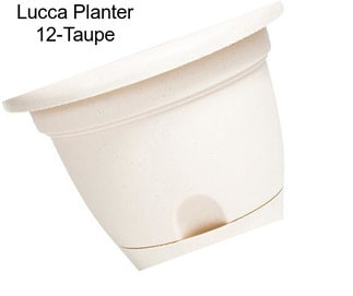 Lucca Planter 12\