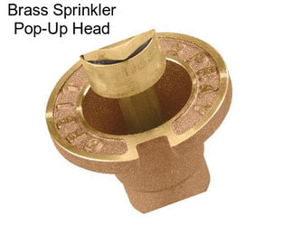 Brass Sprinkler Pop-Up Head