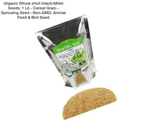 Organic Whole (Hull Intact) Millet Seeds: 1 Lb - Cereal Grain - Sprouting Seed - Non-GMO, Animal Feed & Bird Seed