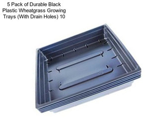 5 Pack of Durable Black Plastic Wheatgrass Growing Trays (With Drain Holes) 10