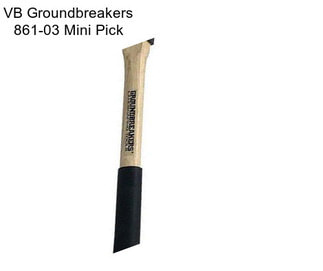 VB Groundbreakers 861-03 Mini Pick